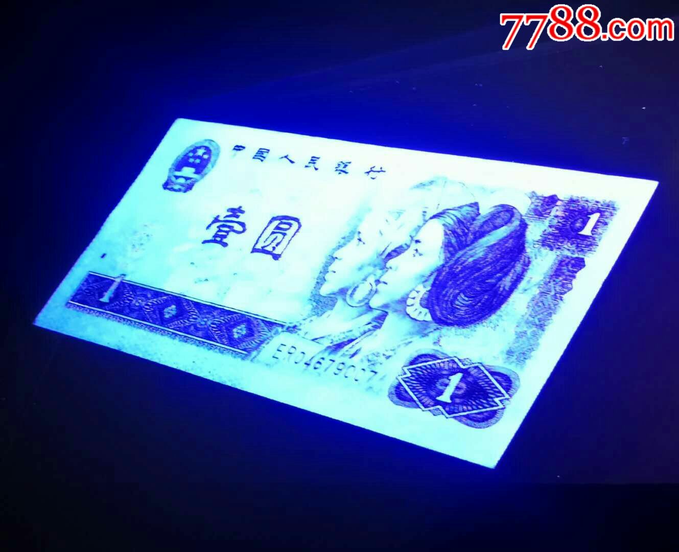 801白金龙荧光币一枚