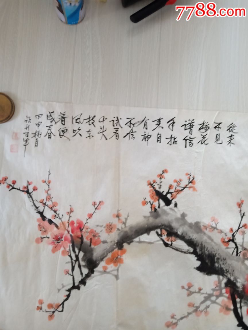 梅花图,保手绘保作者