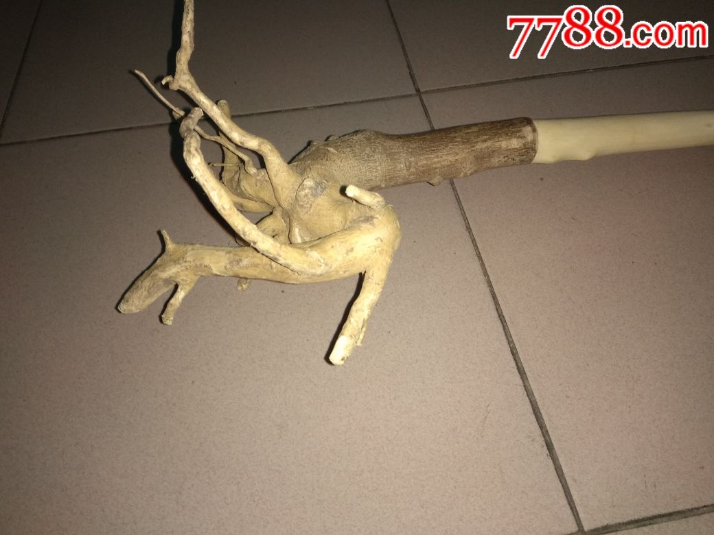 天然花椒龙头拐杖