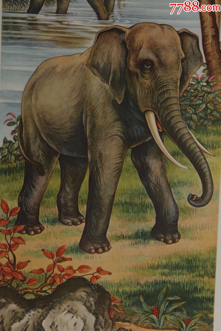 0000元-au20036074-年画/宣传画-加价-7788收藏__收藏热线