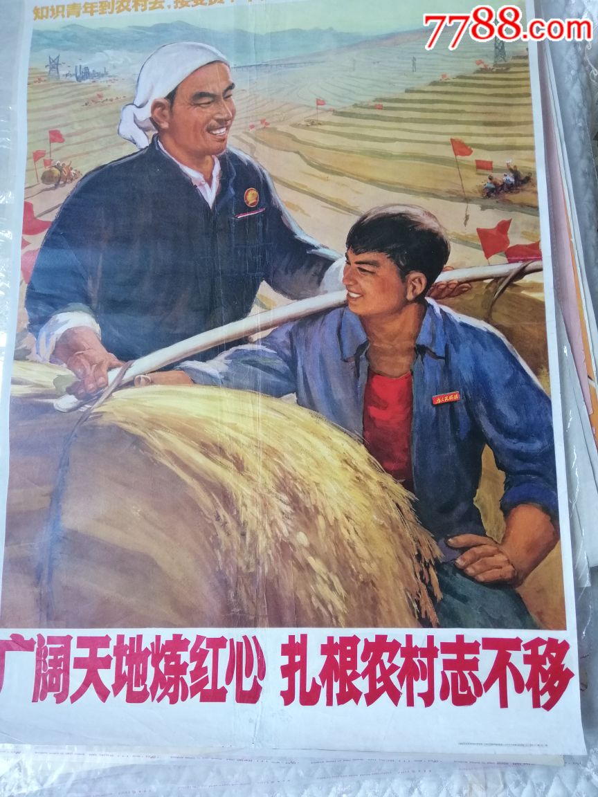 广阔天地练红心,扎根农村志不移