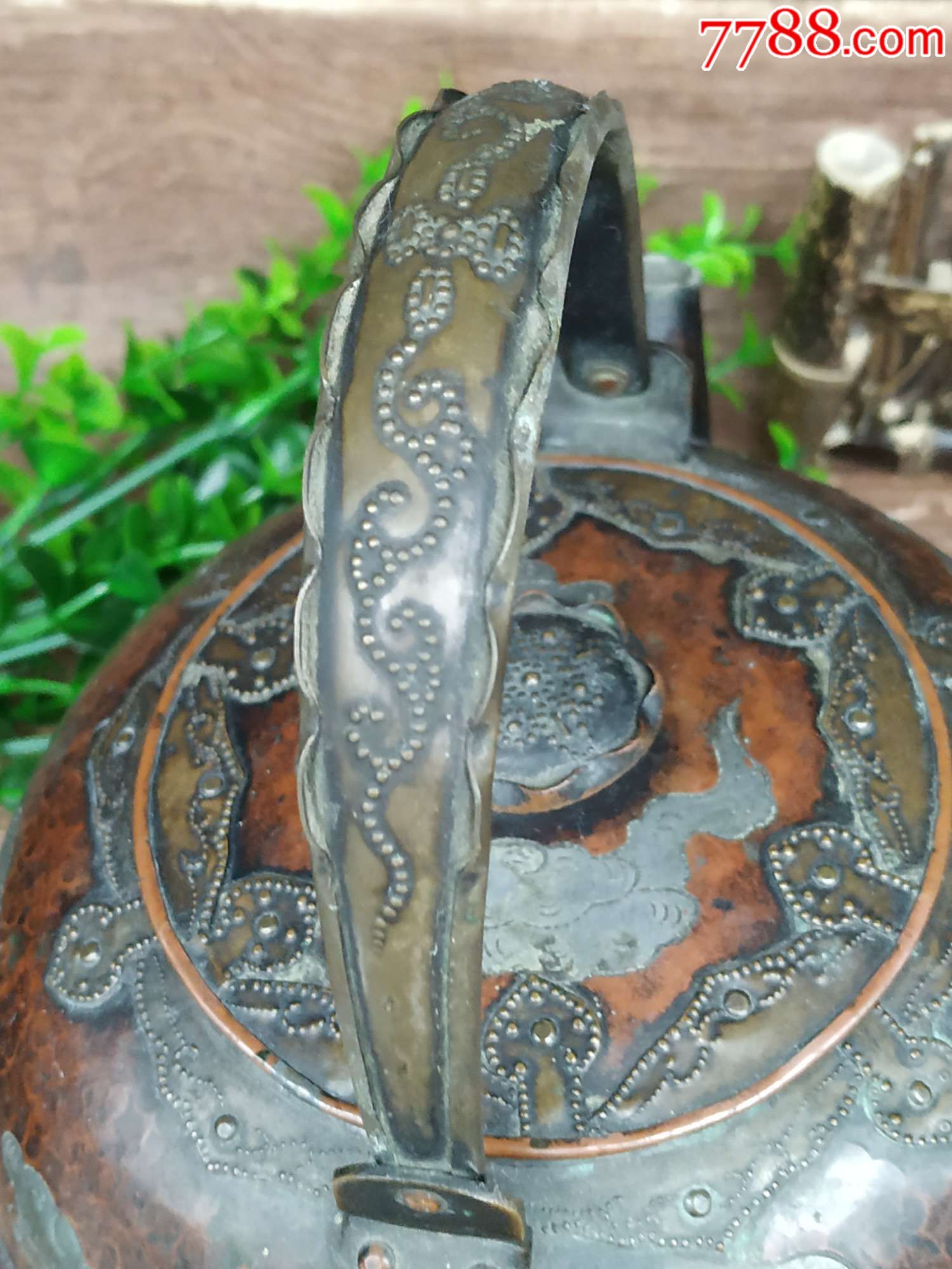 日本回流老铜虫