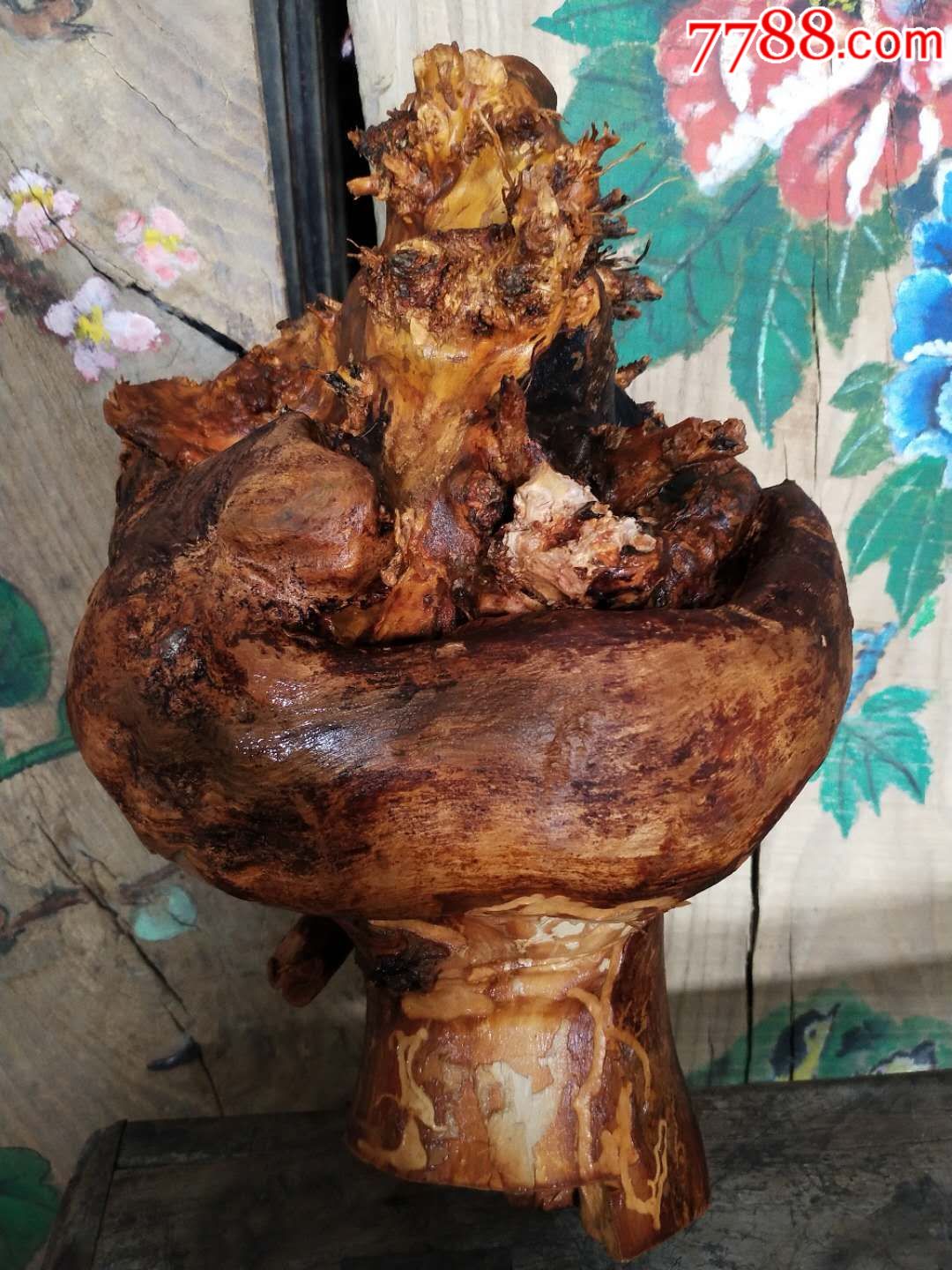 造型树根,造型自然,完整漂亮,其他根雕/木雕_第5张
