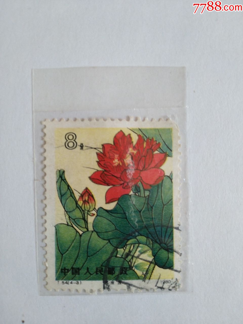 t54荷花,信销票1枚,新中国邮票_第1张