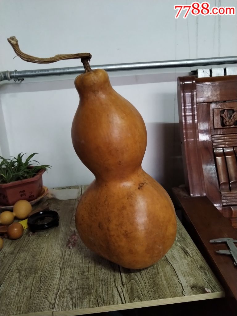 拍型: 大众拍卖 统一编号: au20212021  店内编号:1 品种: 手捻葫芦
