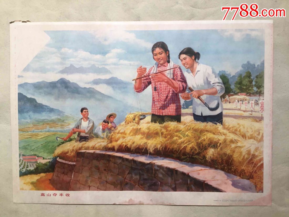 1977年出版宣传画巜黄山茶林场邰铭作-高山夺丰收》