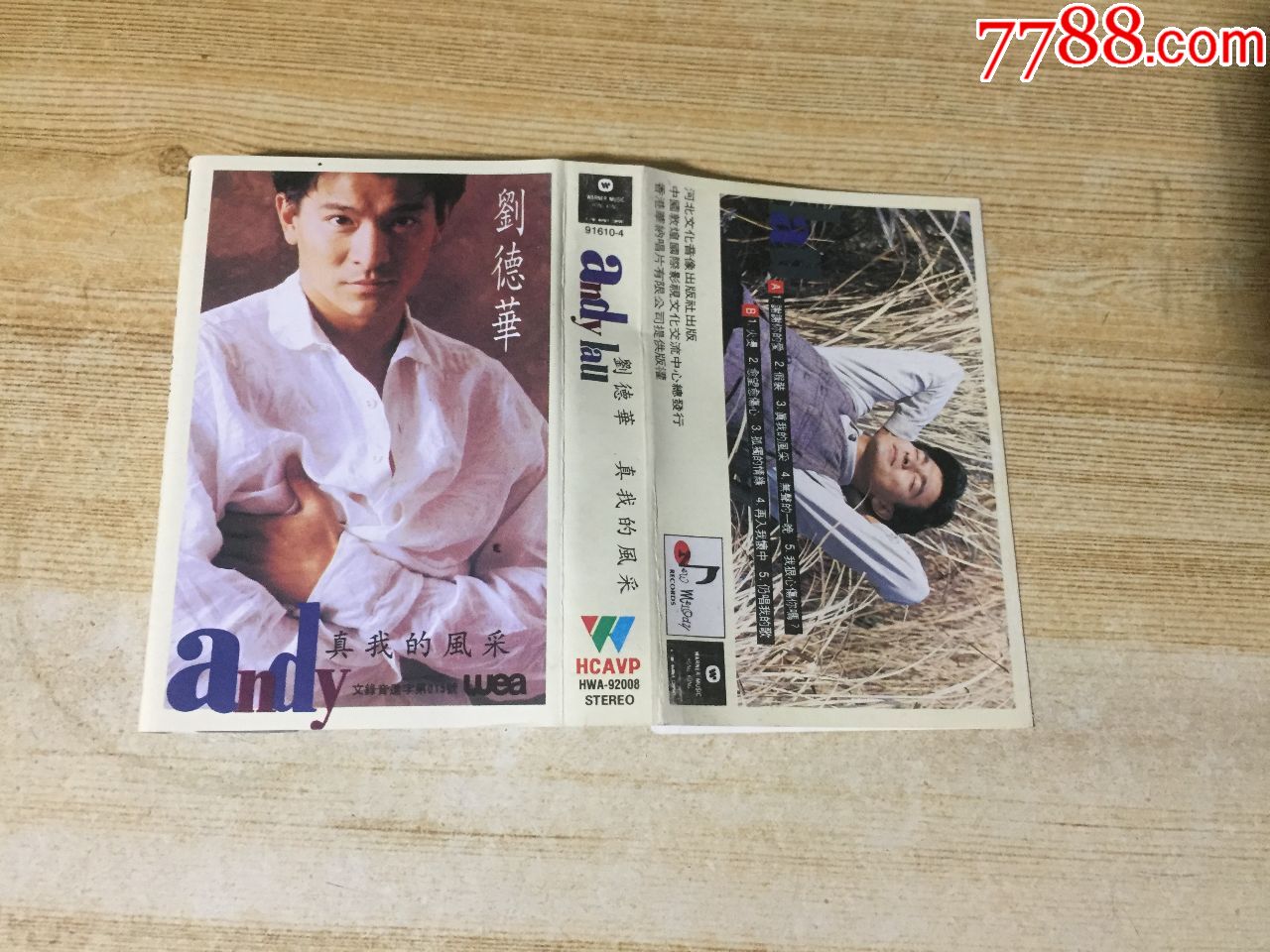 刘德华-真我的风采