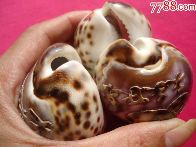 海螺雕刻生肖图3个合售