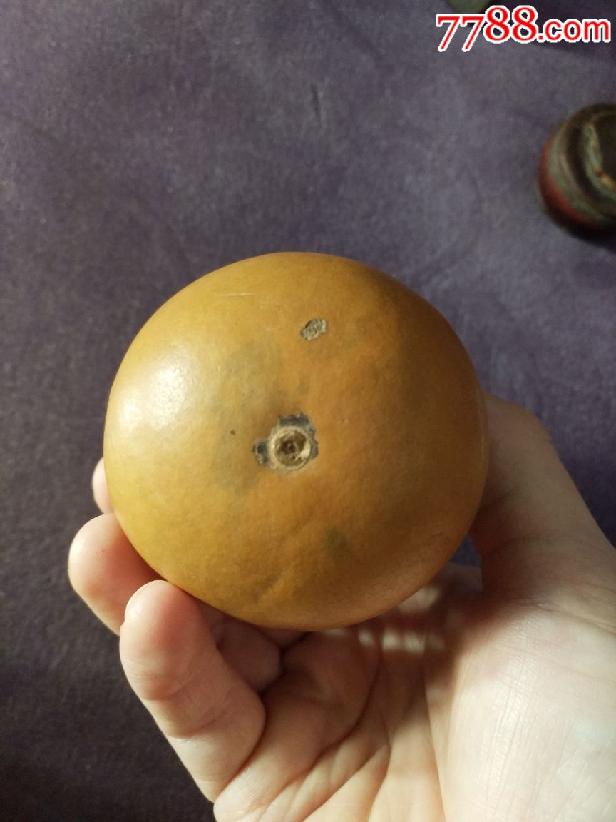 蛐蛐葫芦-葫芦虫具-7788收藏