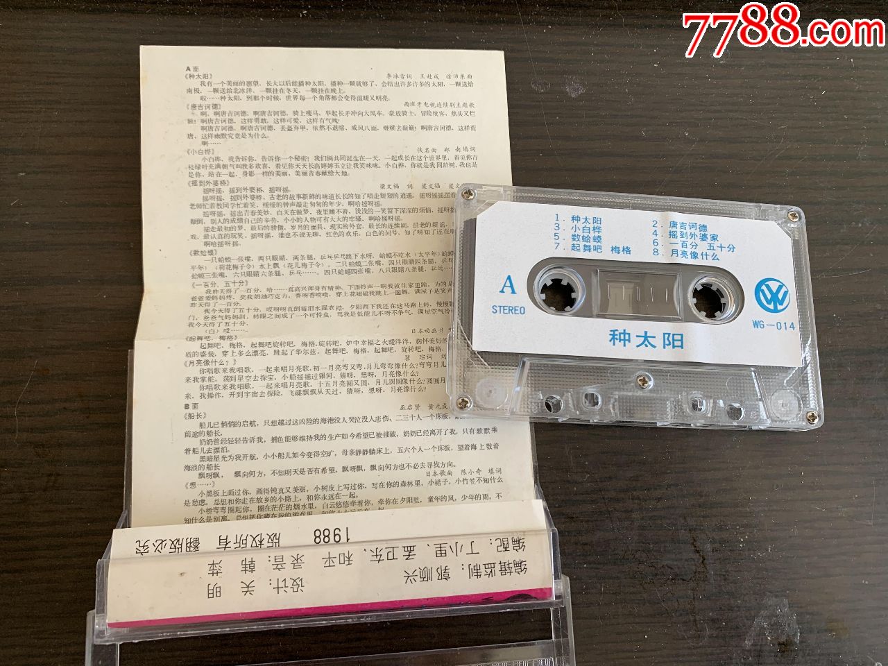 孙佳星--种太阳