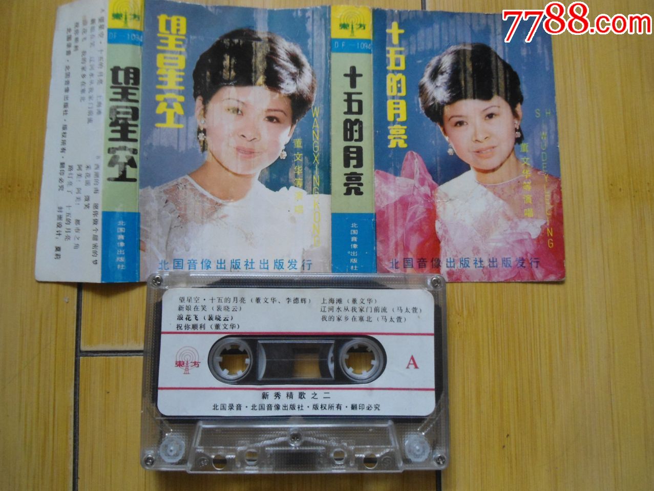 董文华十五的月亮望星空