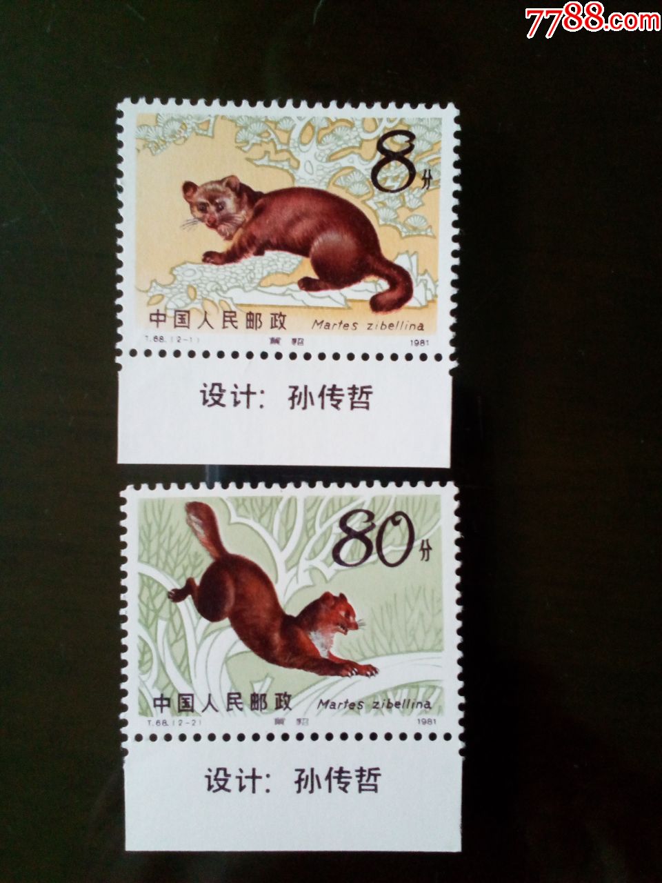 t68紫貂【设计者姓名】-新中国邮票-7788收藏__收藏热线