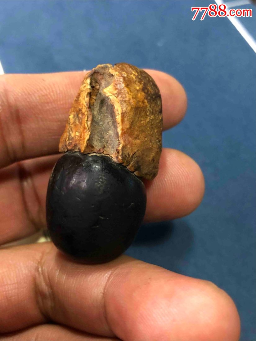 清代缅茄-椰壳/果实工艺-7788文玩