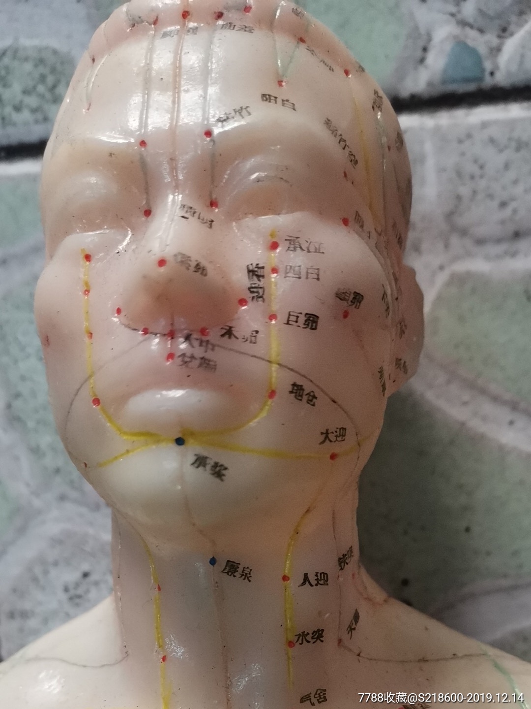 中医人体穴位模型