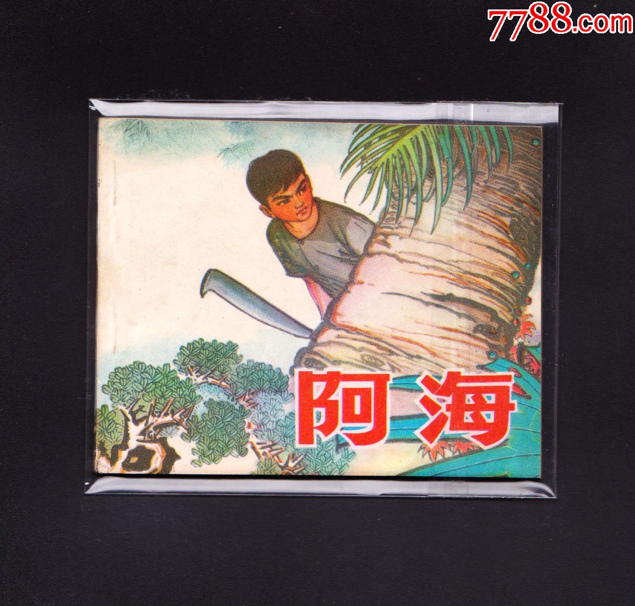 阿海