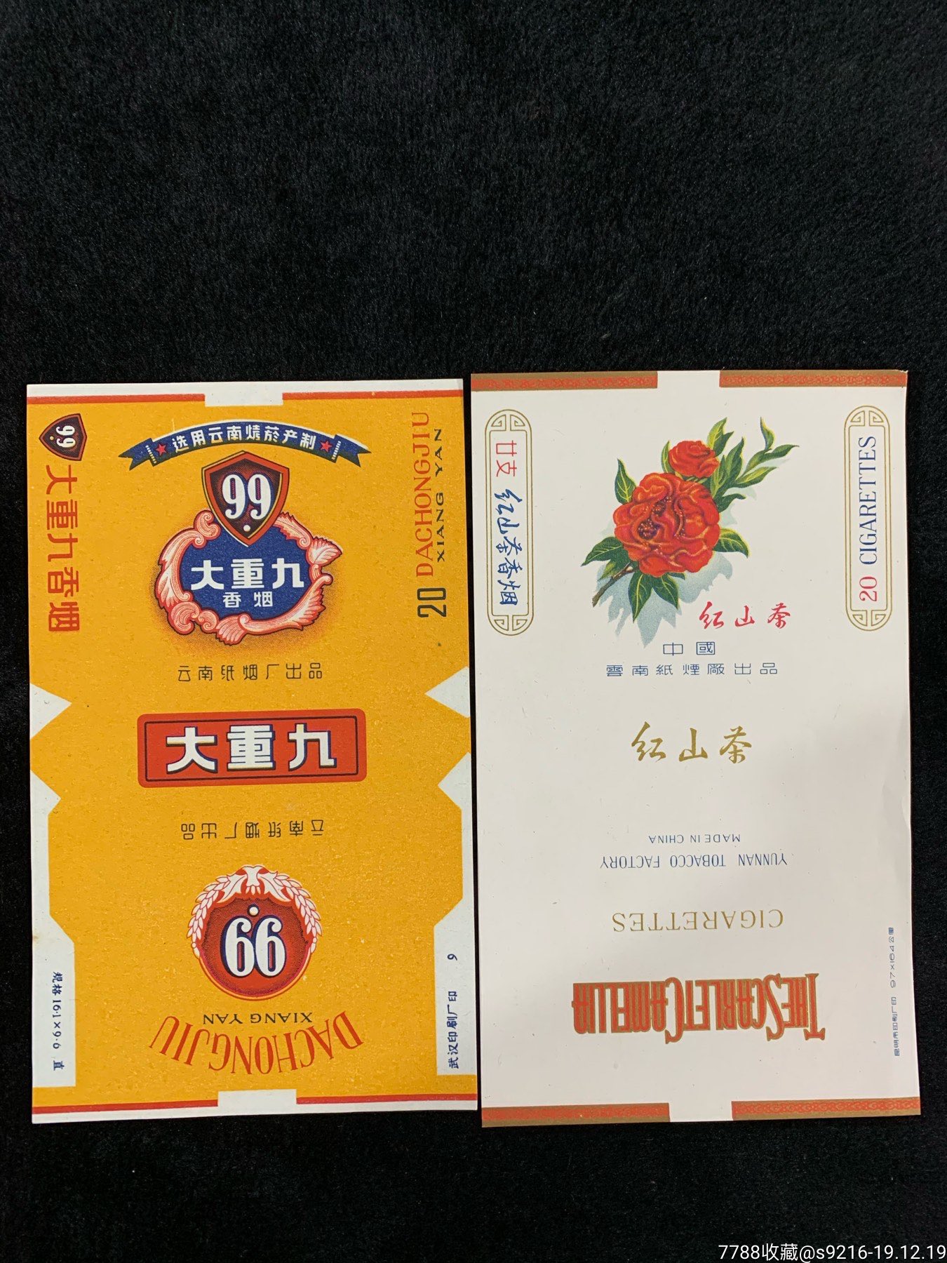 大重九和紅山茶一起拍