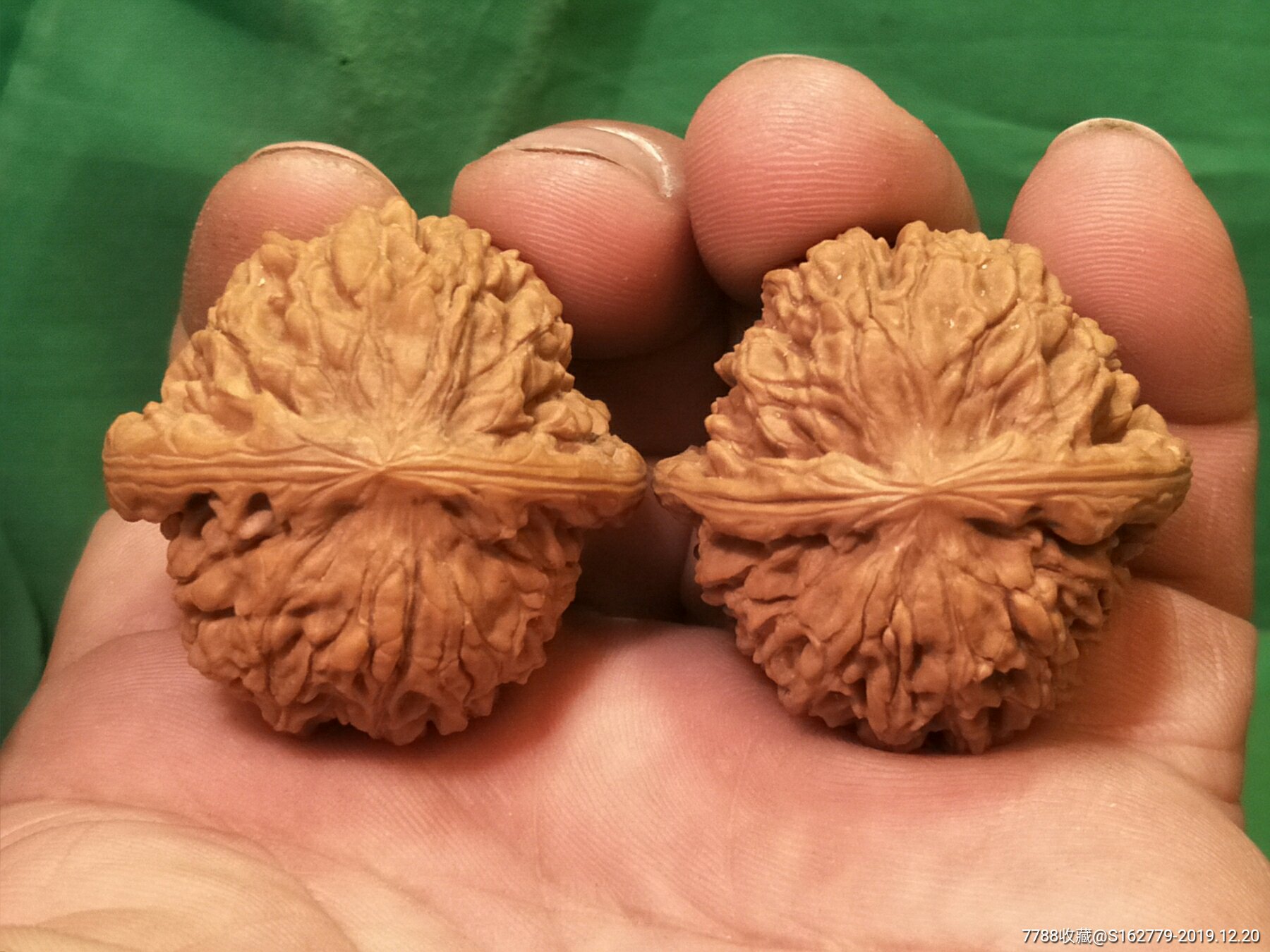 3.7野生手捻儿【龙眼】_文玩核桃_第3张