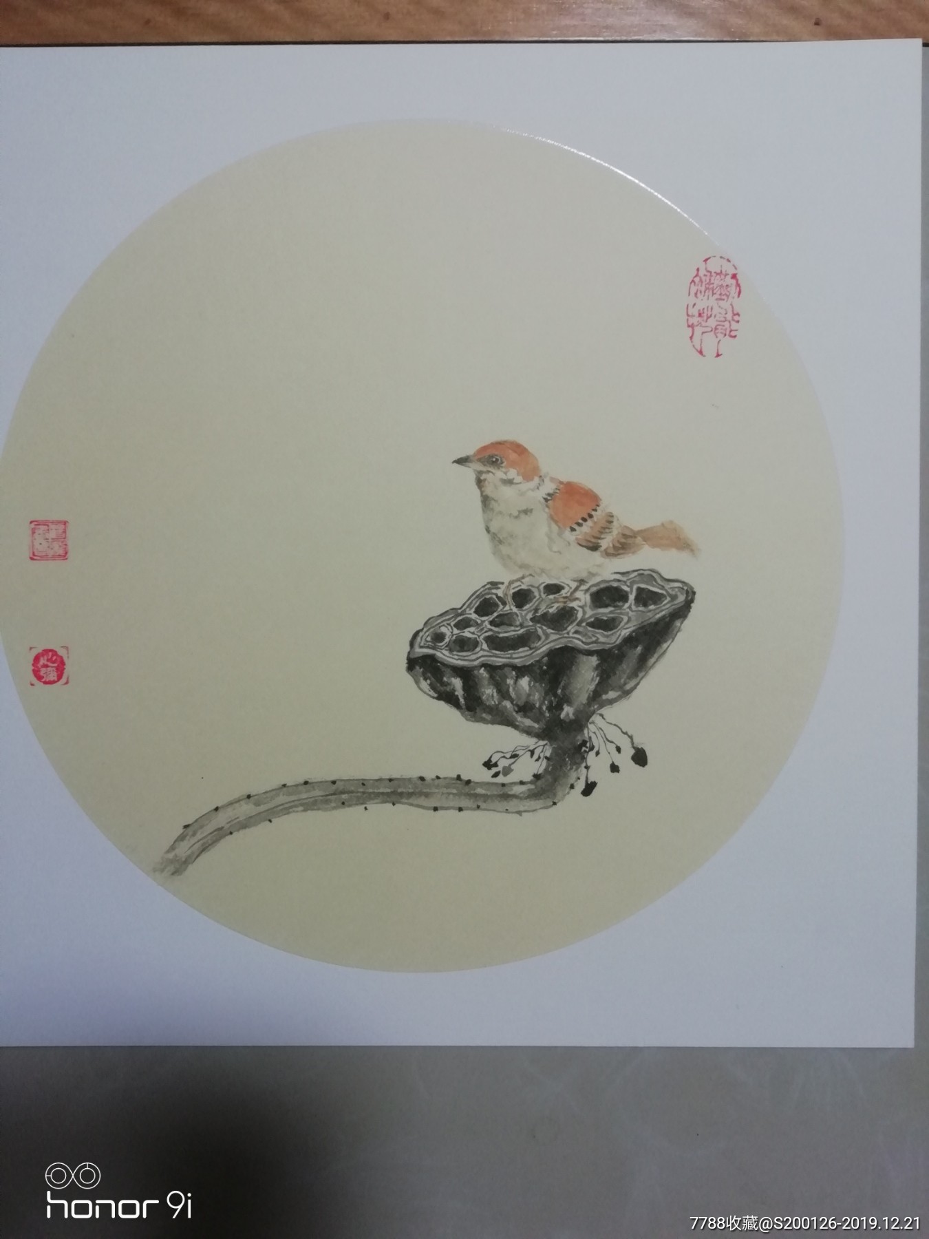 莲子雀(33*33cm)-山水国画原作-7788收藏__收藏热线