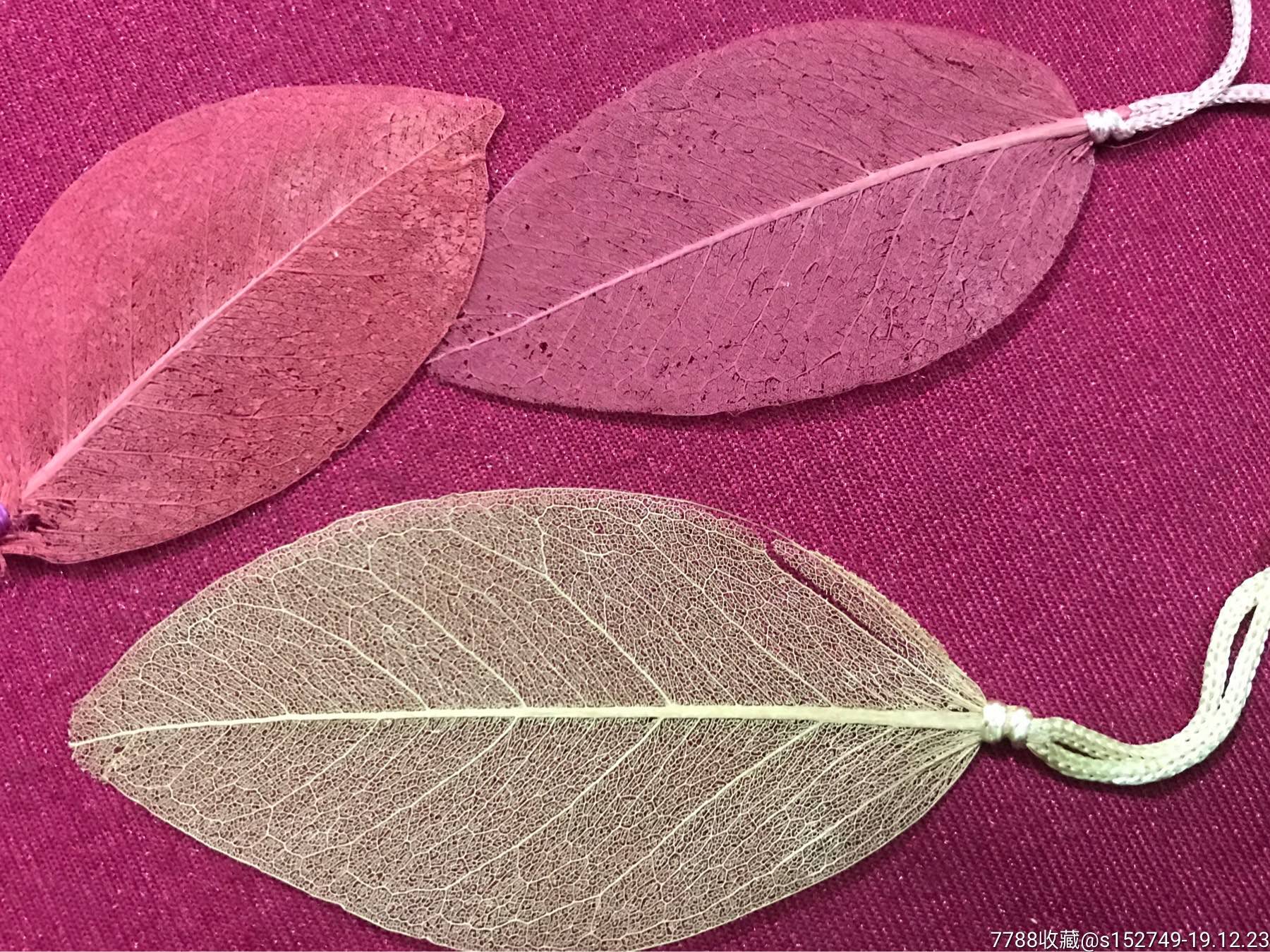 彩色叶脉书签.三枚