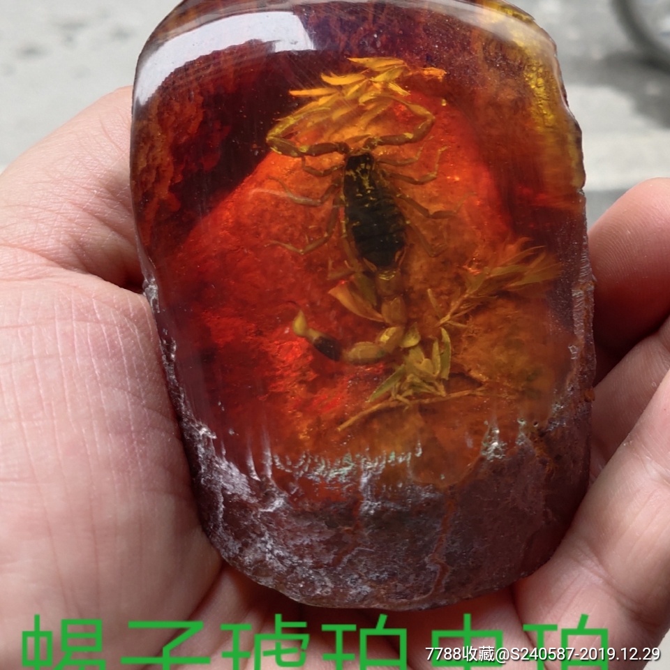 早期旧收藏天然琥珀虫珀蝎子珍藏博物馆品