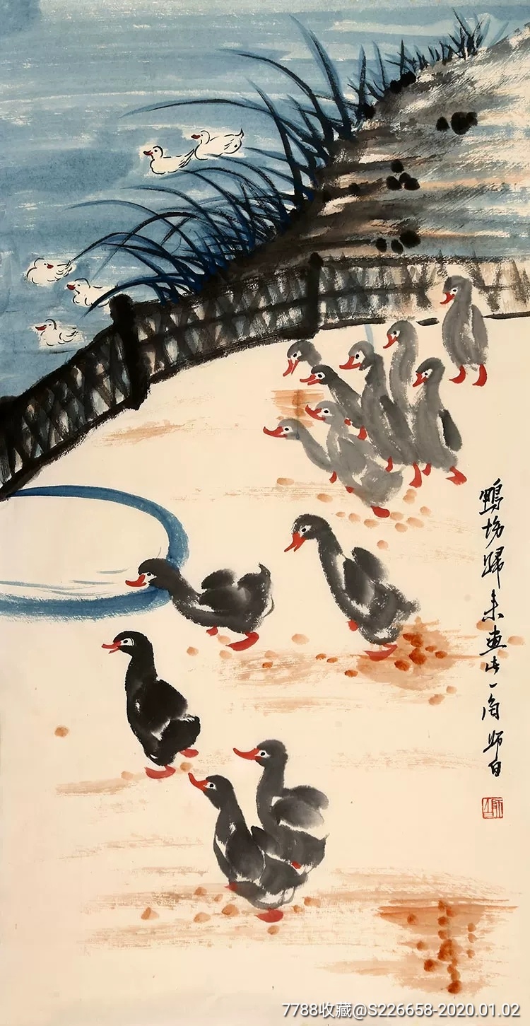 中华秋沙鸭绘画图片