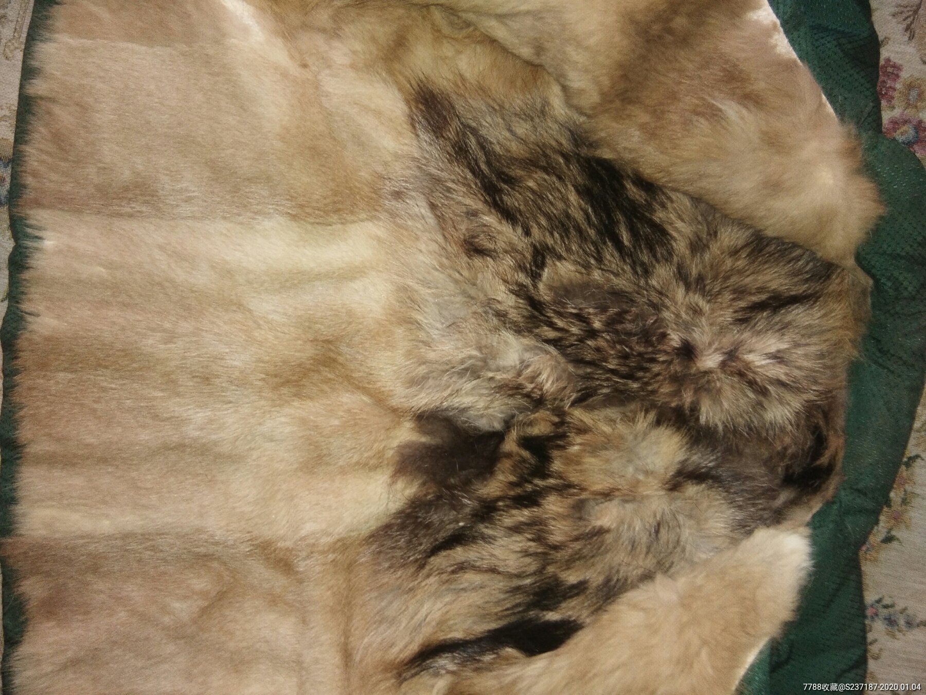 全新,狗皮制上衣及狗皮两张