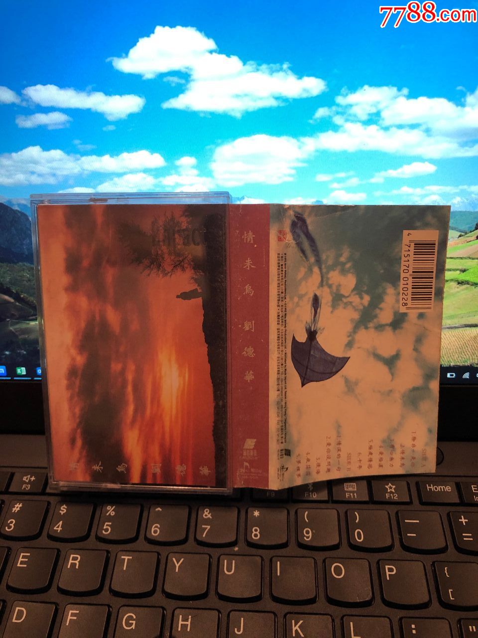 刘德华~情未鸟~台湾艺能动音原版