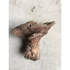 灵芝(au22084418)_7788收藏__收藏热线