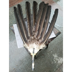 民国时期大号孔明扇，牛角扇柄特别漂亮保存完整十分难得(au22103778)_7788收藏__收藏热线