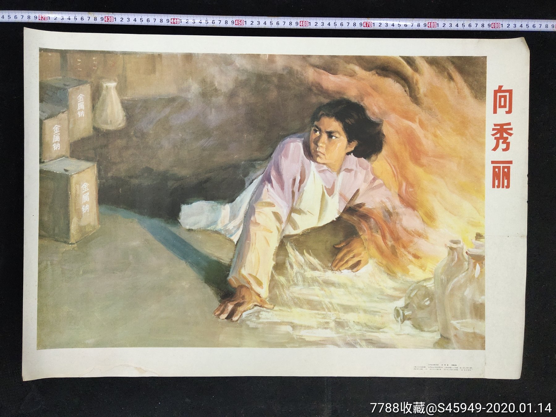 1977年（向秀丽）__【7788收藏__收藏热线】