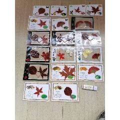 品相都不错(au22157030)_7788收藏__收藏热线