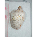清河豚画贝壳(au22215256)_7788收藏__收藏热线