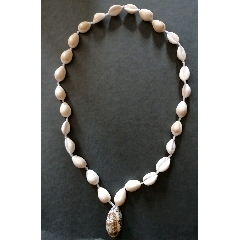 贝壳项链(au22247814)_7788收藏__收藏热线