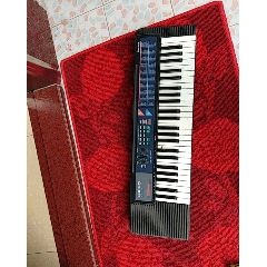 卡西欧电子琴.简介(au22249693)_7788收藏__收藏热线