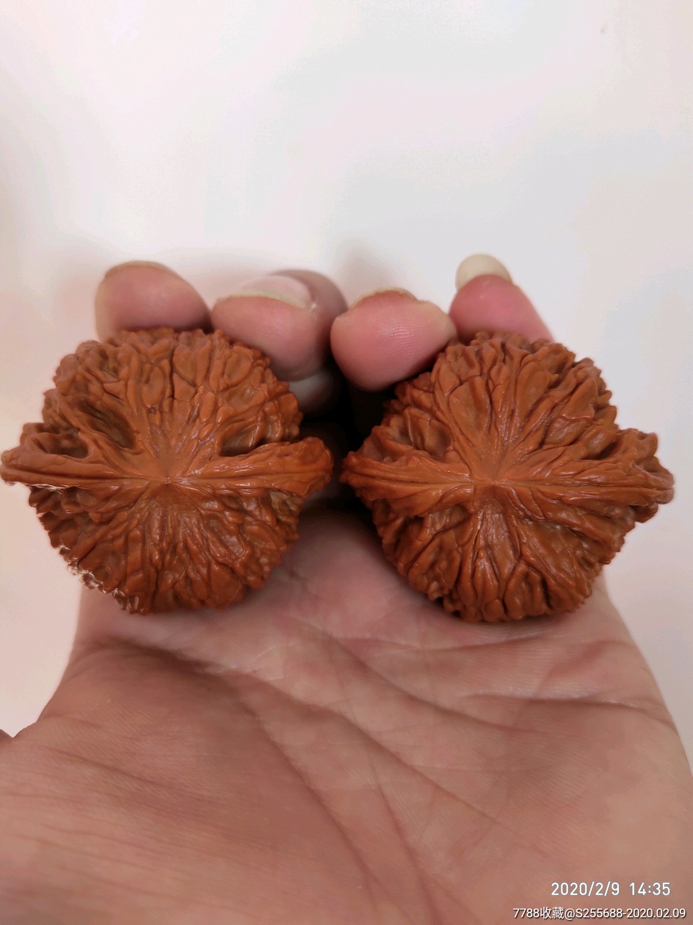 磨盘狮子头文玩核桃