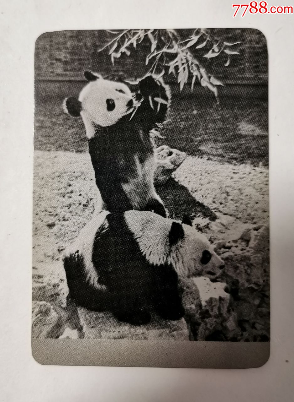 熊猫1973年年历中国旅行社