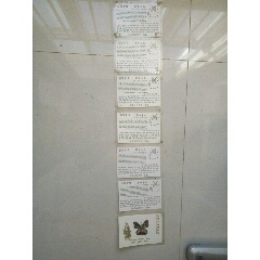 东南亚蝴蝶珍品(au22263890)_7788收藏__收藏热线