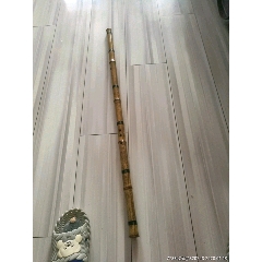 洞箫(au22269118)_7788收藏__收藏热线