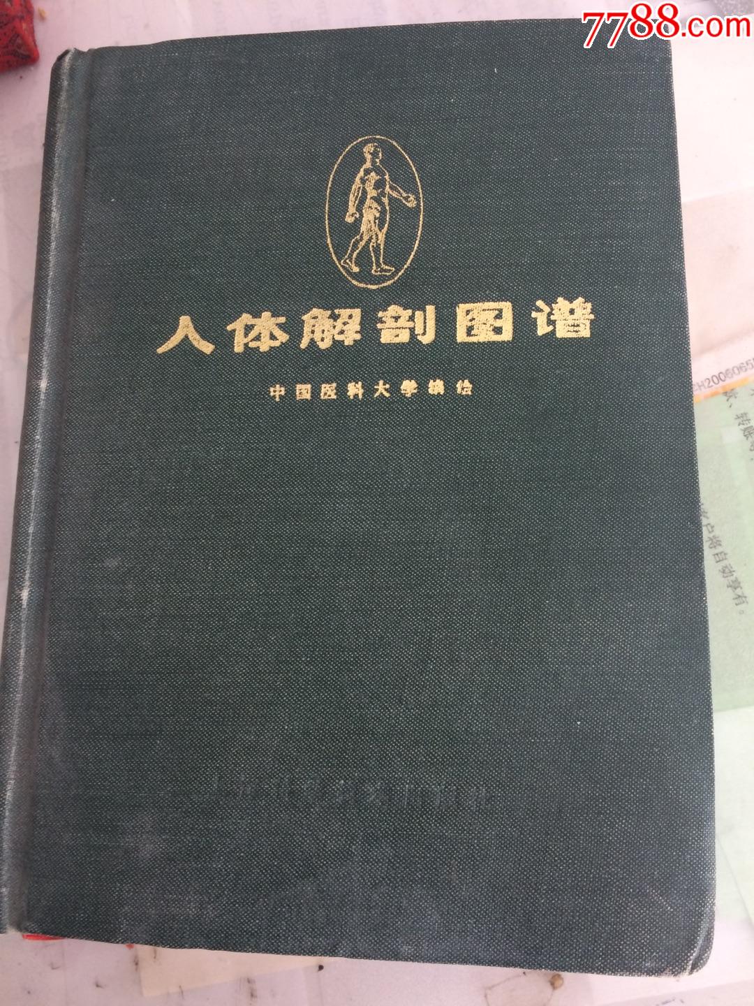 中国医科大教科书人体解剖图谱