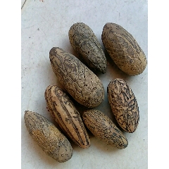 什么东东看图拍(au22302730)_7788收藏__收藏热线