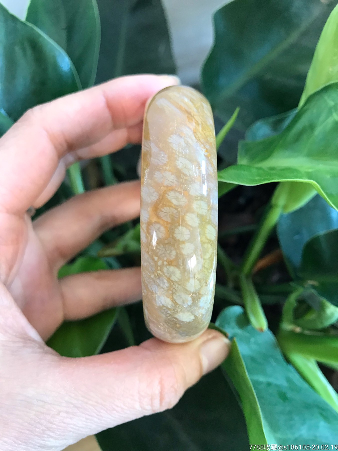 特级精品珊瑚玉手镯