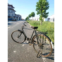 飞鸽自行车(au22312940)_7788收藏__收藏热线