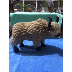 贝壳牛(au22324147)_7788收藏__收藏热线