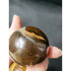 金丝海柳把玩球一对(au22334207)_7788收藏__收藏热线