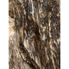 正宗老料沉香。海南沉香，(au22342649)_7788收藏__收藏热线