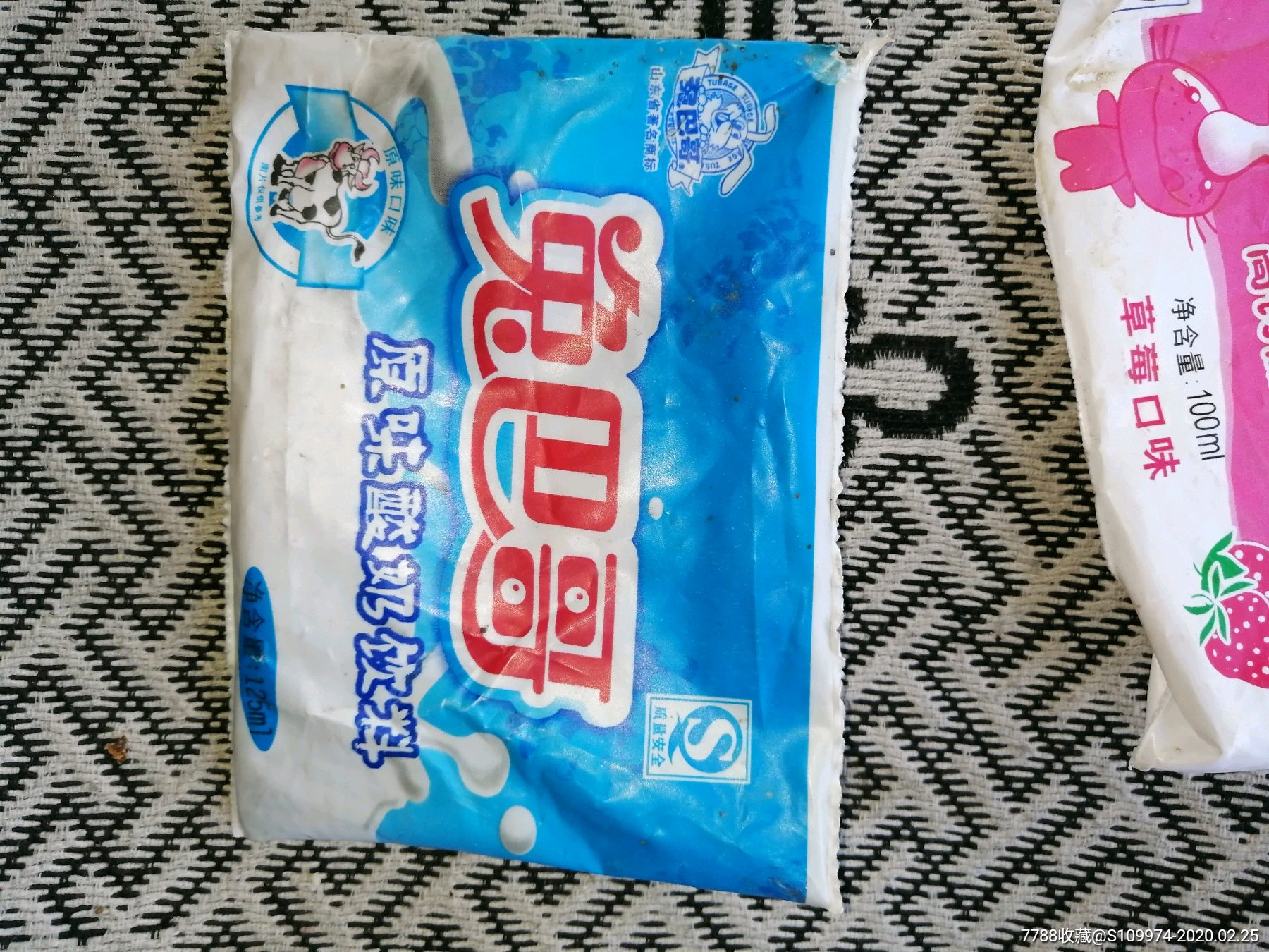 山东兔八哥奶一对06年淄博出