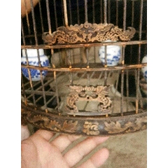 老鸟笼(au22351479)_7788收藏__收藏热线