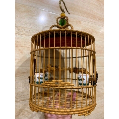 老鸟笼(au22351493)_7788收藏__收藏热线