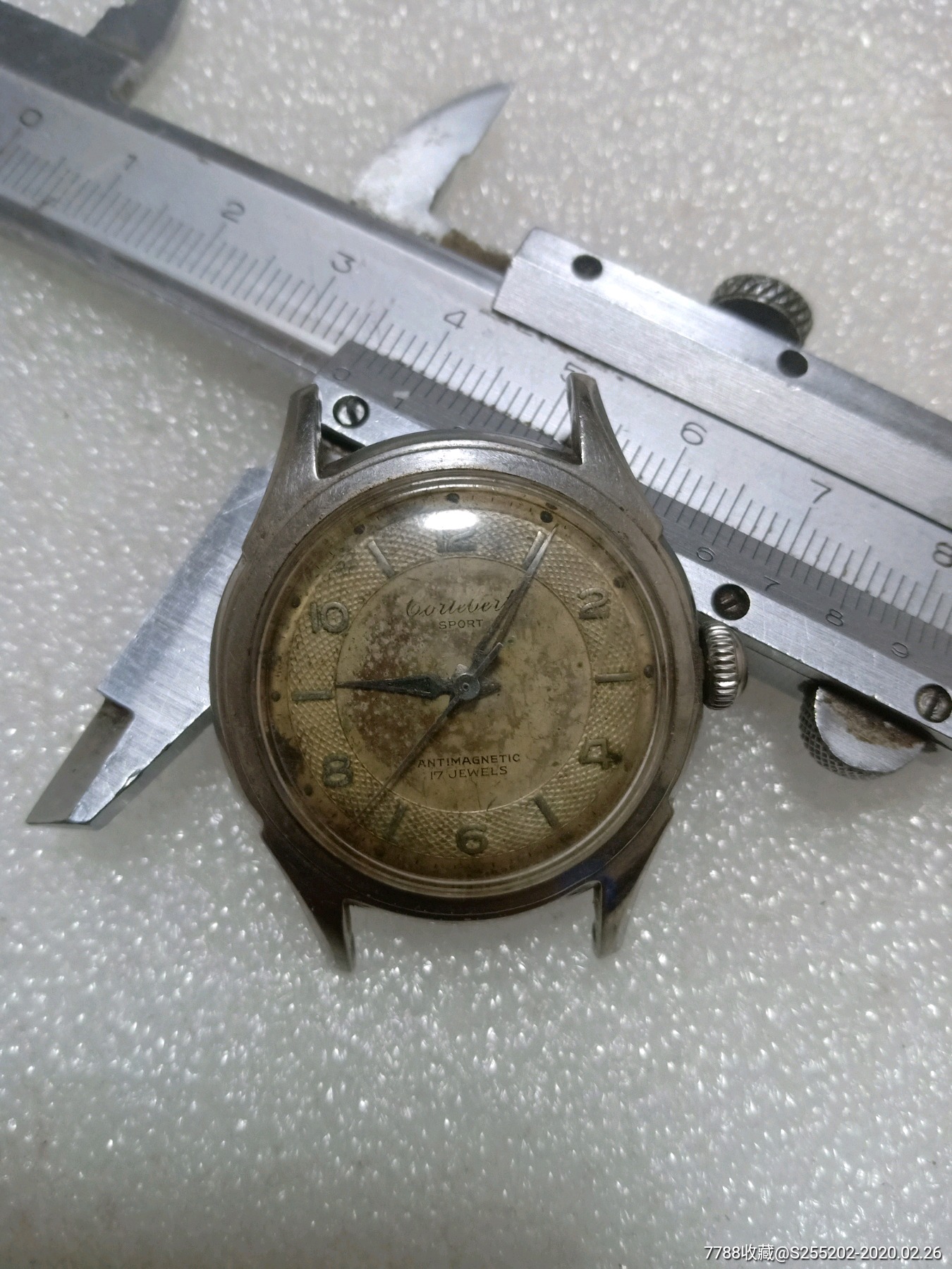 瑞士柯迪伯老表