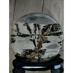 奇石一个(au22364160)_7788收藏__收藏热线